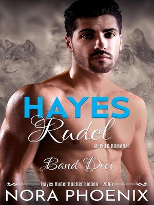 cover image of Hayes Rudel Band Drei